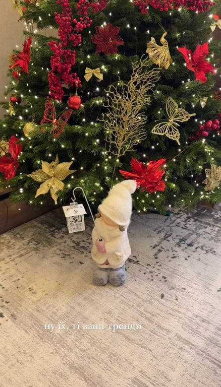 Дружина Остапчука показала новорічний декор