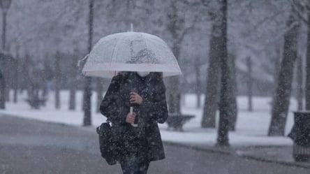 Гідрометцентр попереджає про повернення дощів і снігу в Україну сьогодні - 290x160
