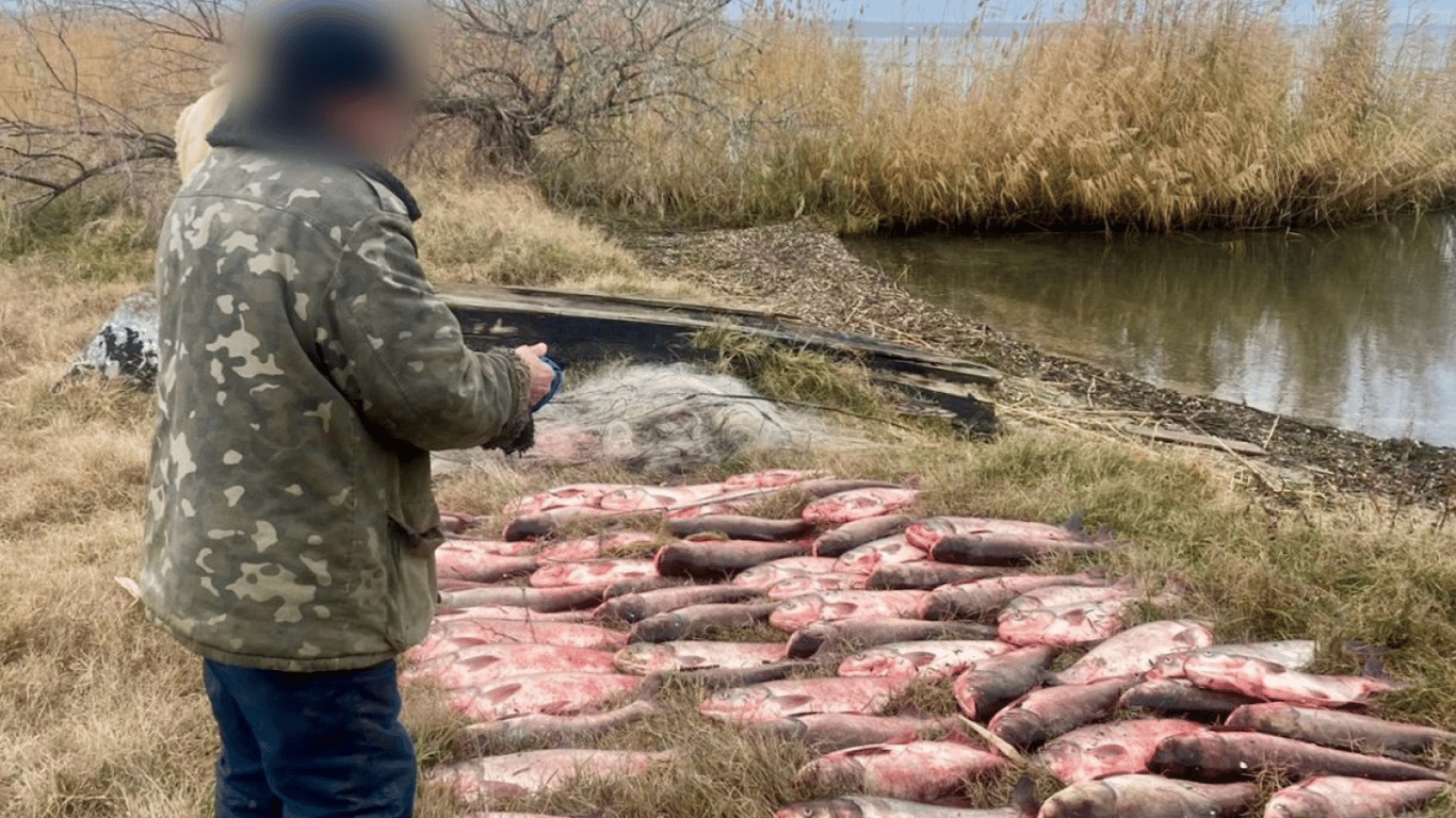 Наловив на 300 тисяч — на Одещині затримали чергового рибного браконьєра