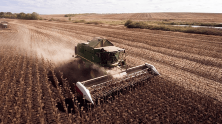 Цены на зерно в Украине — сколько стоит подсолнечник в конце марта - 290x166