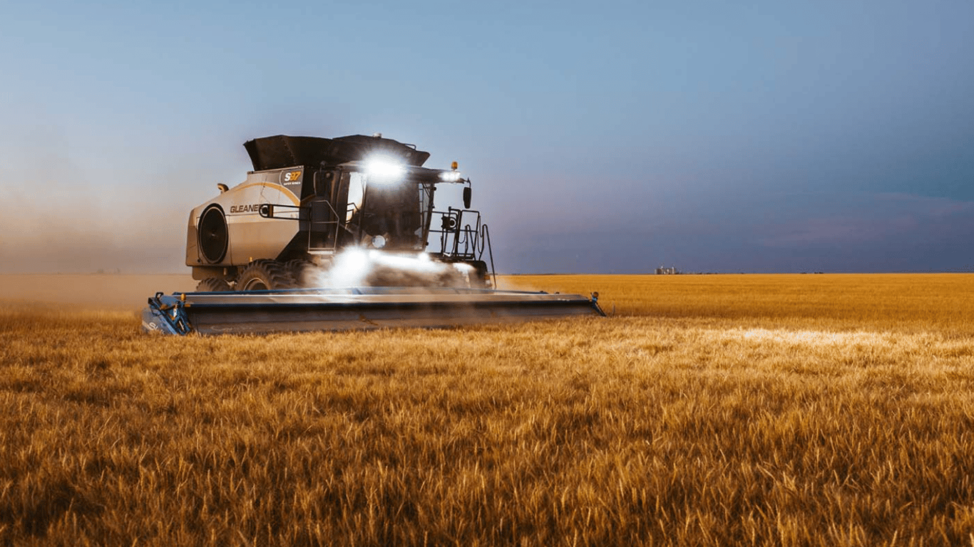 Ціни на зернові в Україні станом на 13 квітня 2024 року — скільки коштує пшениця