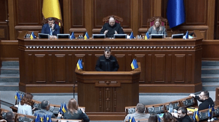 Клименко рассказал, может ли полиция вручать повестки без ТЦК - 285x160