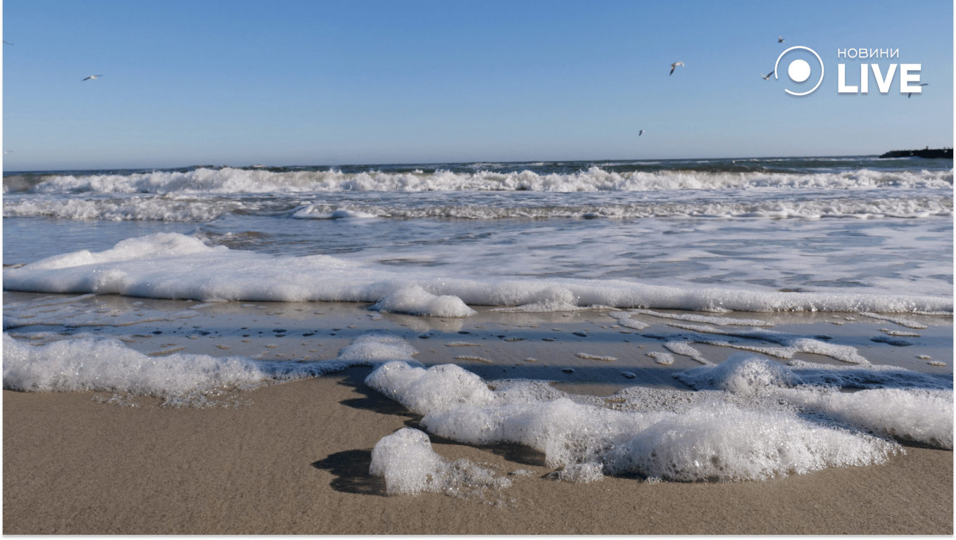 Узбережжя Чорного моря