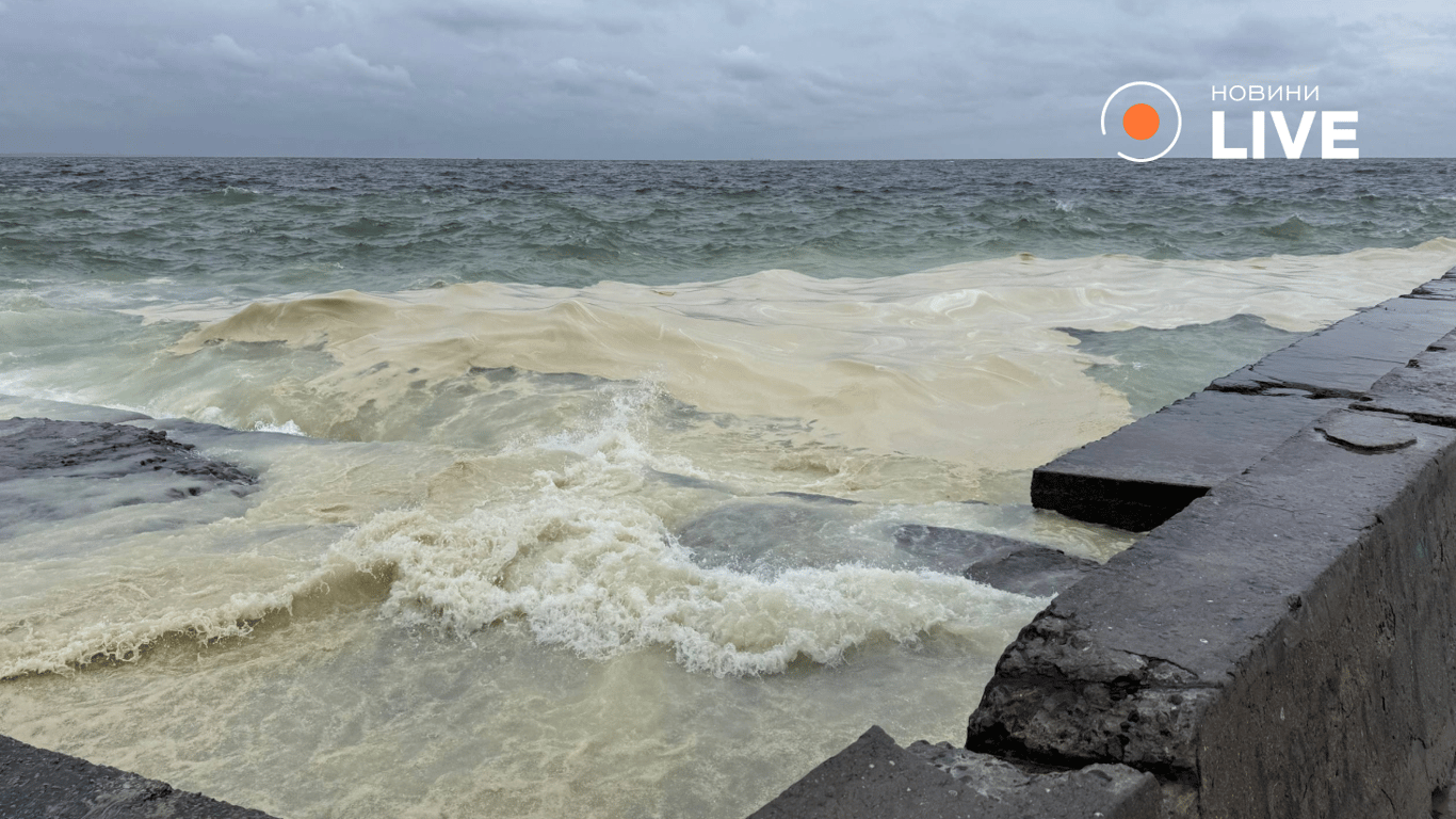 Море в олії. Фото: Новини.LIVE