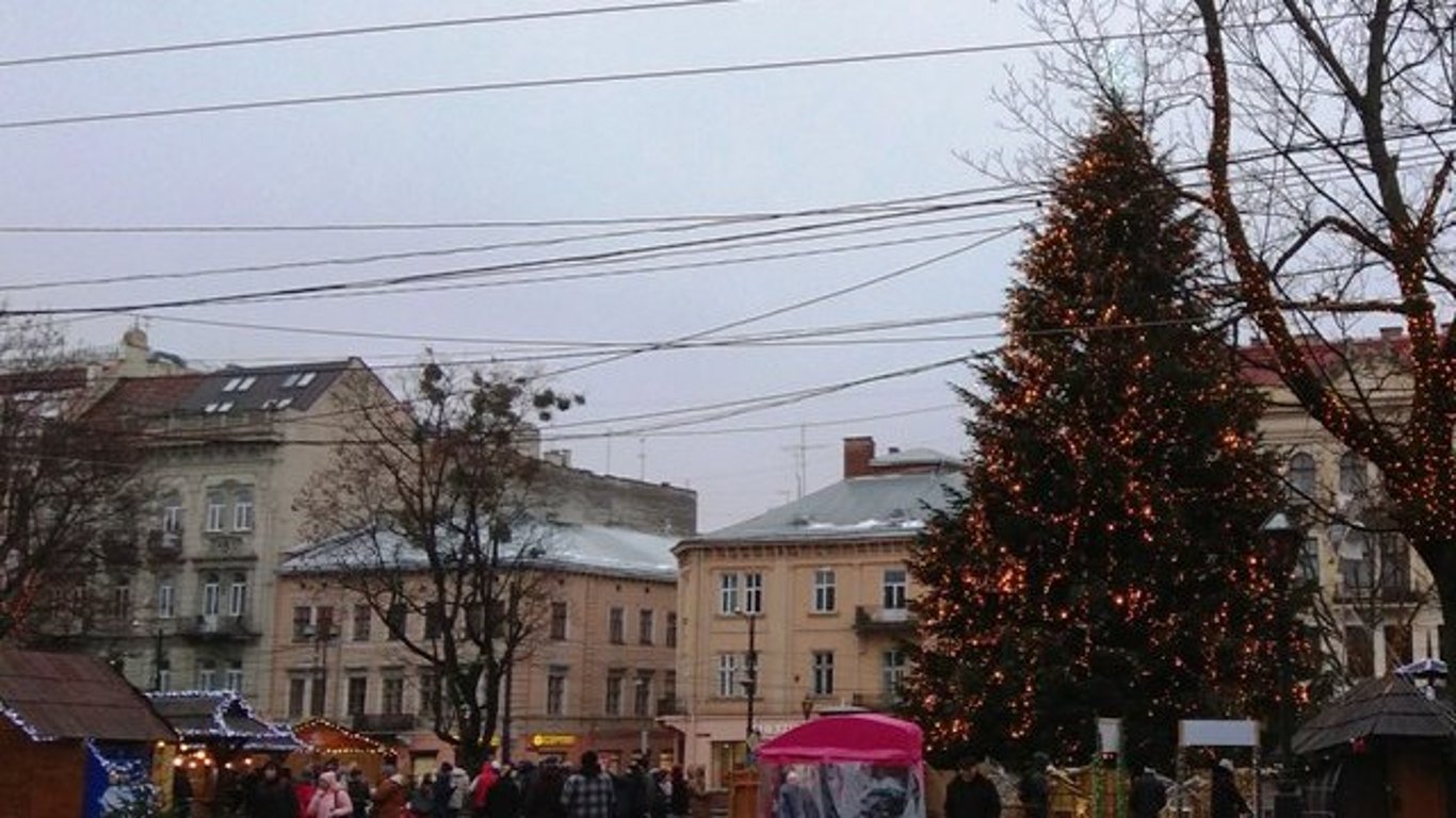 Рождественская елка во Львове - откуда ее взяли и когда установят