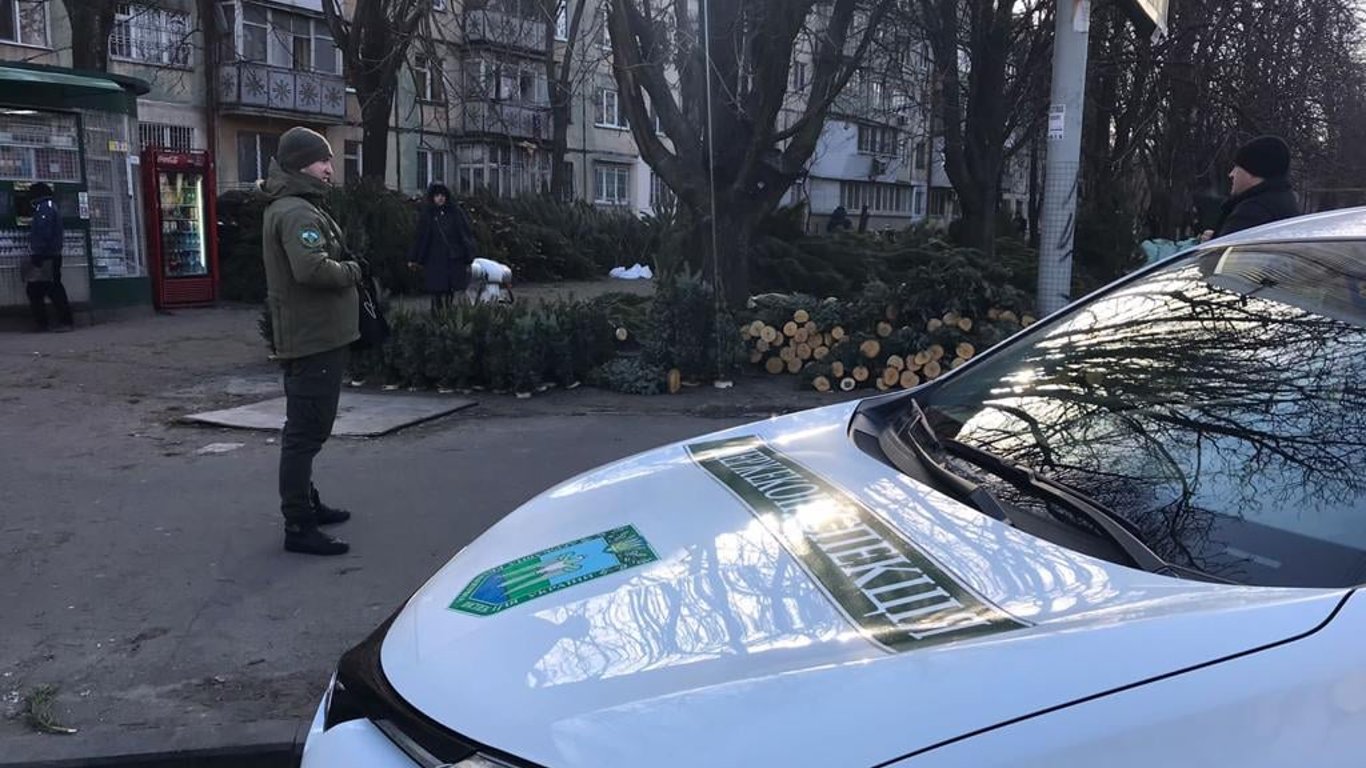 Елки на базаре в Одессе-инспекция выявила 6 нелегальных базаров