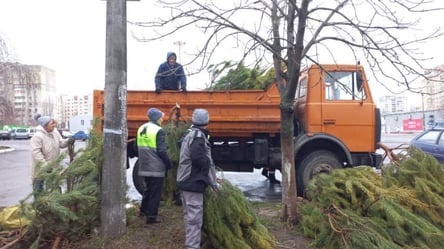 Ни продать, ни отдать: в Одессе торговцы елками облили более 2 тысяч деревьев соляркой - 285x160