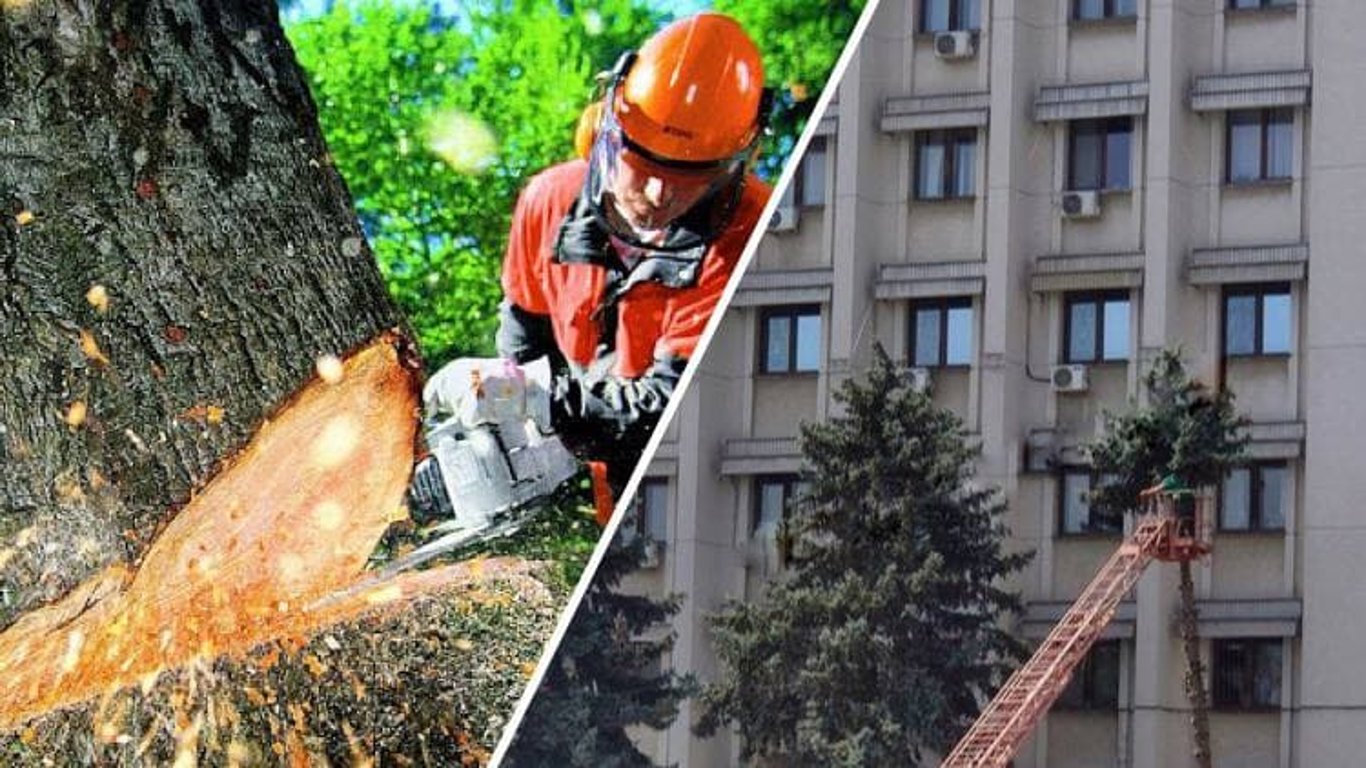 Возле здания Одесской ОГА коммунальщики спиливают елки