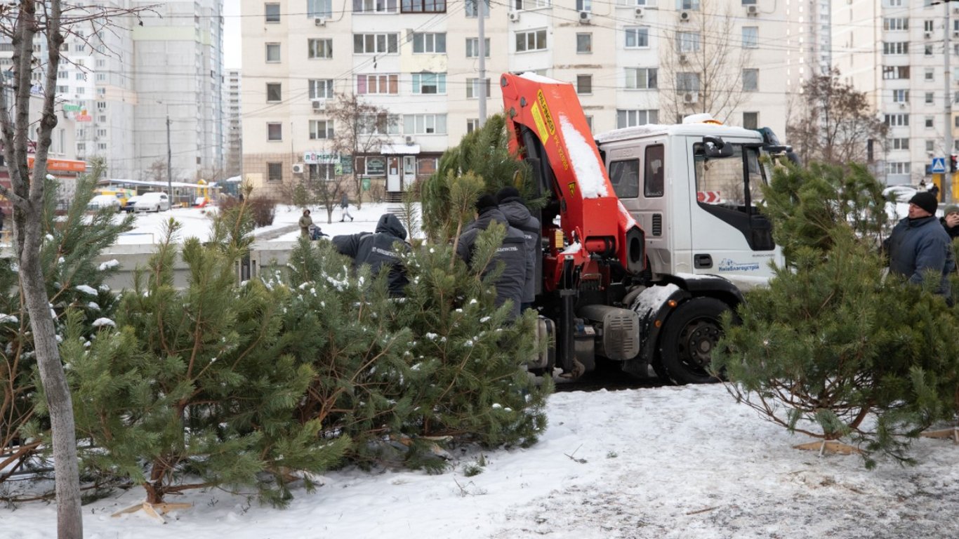 Новий рік у Києві - у столиці виявили незаконні ялинкові базари