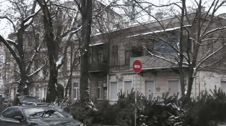 В Одессе продавцы елок загромождали тротуары и дороги товаром - 285x160