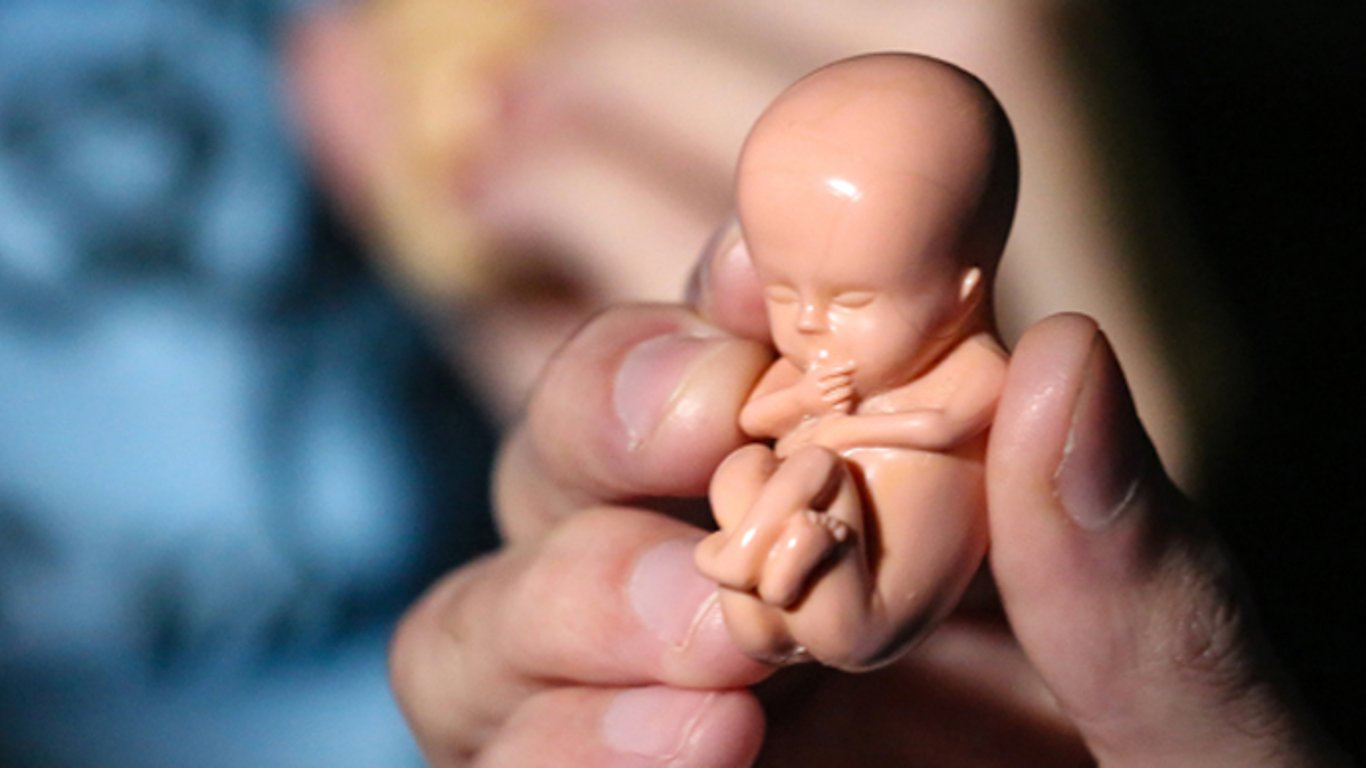 В Польше из-за запрета абортов погибла женщина - она неделю носила в себе труп ребенка