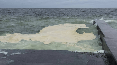 Экологическая катастрофа в Одессе — в каком состоянии Черное море - 285x160