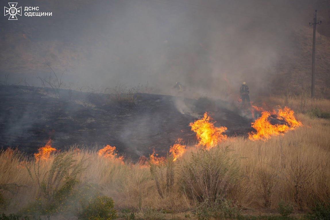 Одещина у вогні — пожежі знищили сотні гектарів землі - фото 2