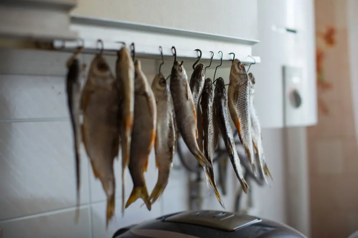 Как подготовить рыбу к сушке