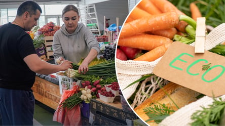 В Украине изменились правила органической продукции: какие преимущества получат аграрии - 285x160