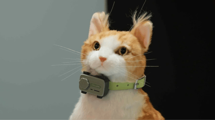 The world’s first cat and dog smartphone was unveiled at MWC 2025 - 285x160