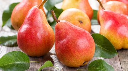 Как сохранить груши сочными и целыми до следующего лета - 285x160