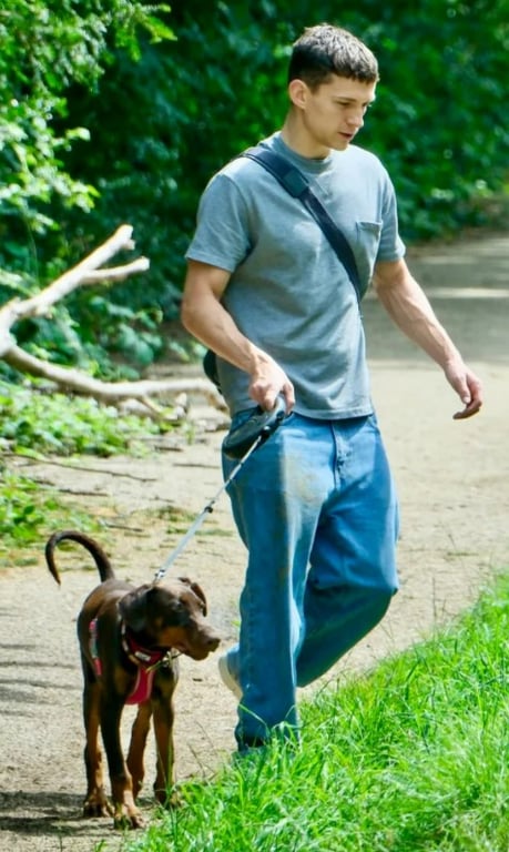 Актор Том Голланд на прогулянці. Фото: TillenDove