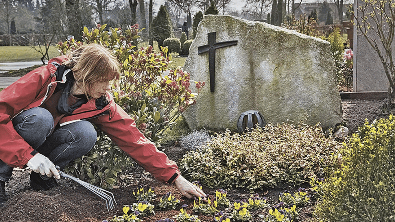 Какие цветы посадить на кладбище — неприхотливые растения