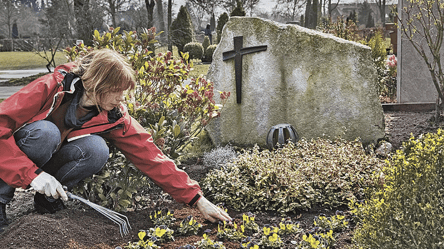 Советы накануне поминальных дней — какие цветы сажать на кладбище - 290x166