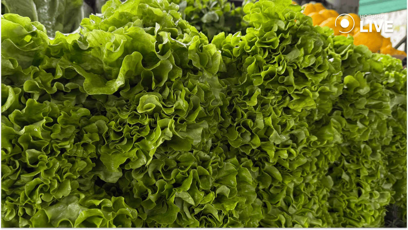 Весняний базар в Одесі: скільки коштують огірки та полуниця - фото 6