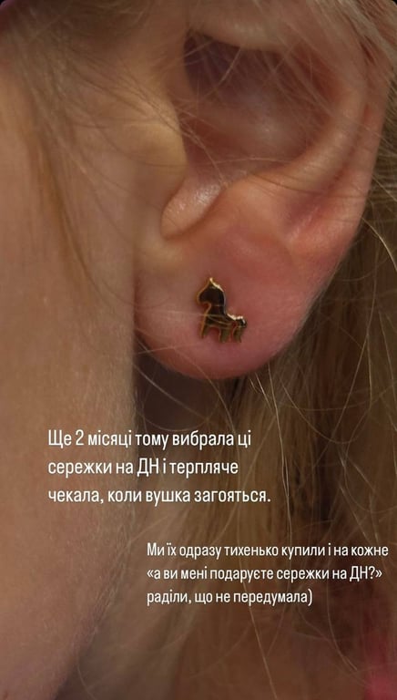 Подарок Мирошниченко приемной дочке