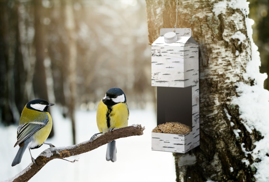 Кормушка из коробки