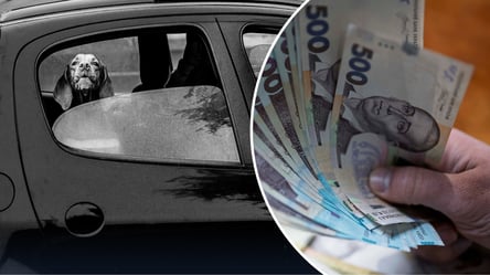 Від штрафу до 8 років в’язниці: за що суворо карають власників тварин - 285x160