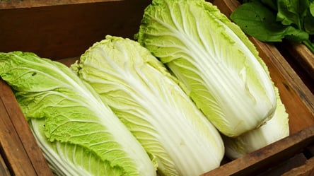 Салат "Ольга", який перевершив "Цезар": знадобиться пекінська капуста - 285x160