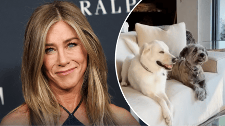 Дженніфер Еністон обрала диван кольору, який всі бояться купувати (фото) - 285x160