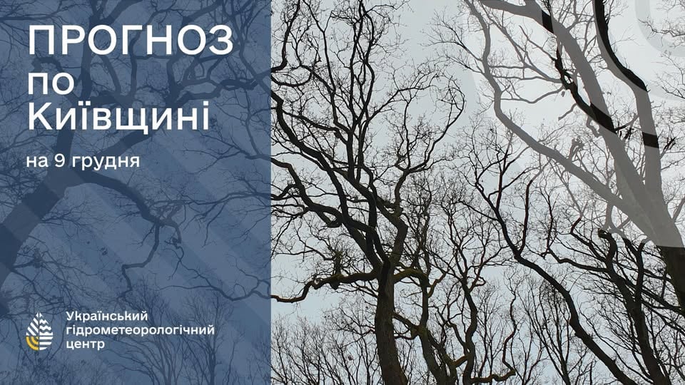 погода в Киеве