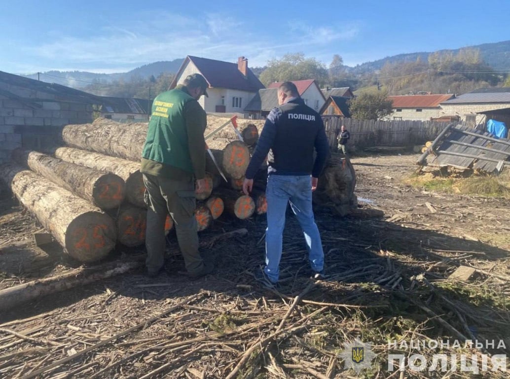 чорні лісоруби