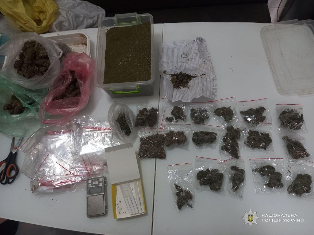 Поліцейські виявили конопляні поля на Одещині — відео - фото 2