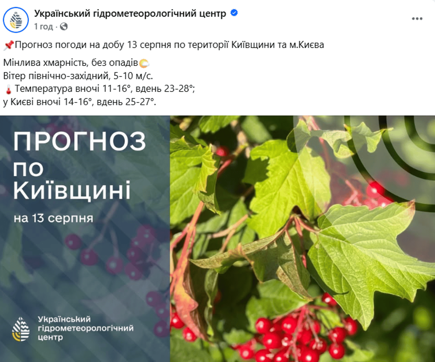 Погода у Києві 13 серпня