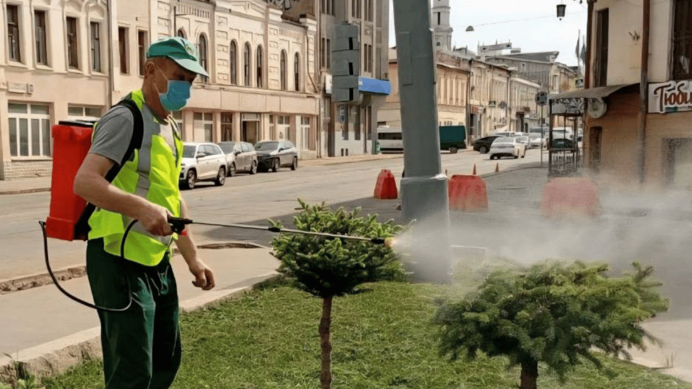 У Харкові обробляють рослини від шкідників: ризики хімікатів