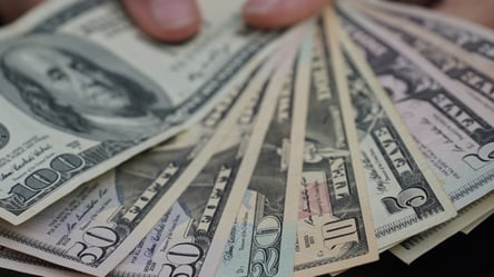 Українцям нададуть 5 000 доларів на бізнес: як отримати грант - 290x166
