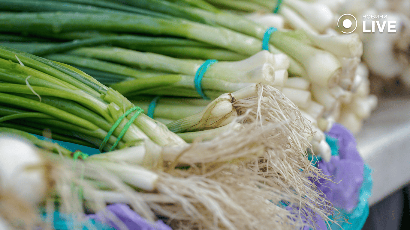 Зелена цибуля