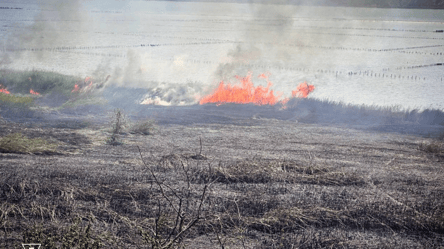 За останні два дні на Одещині згоріло 38 гектарів землі — подробиці - 285x160
