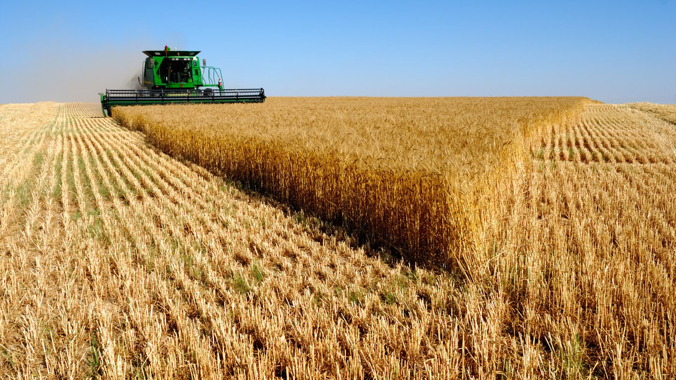 Цены на зерновые в Украине по состоянию на 8 декабря 2023 года