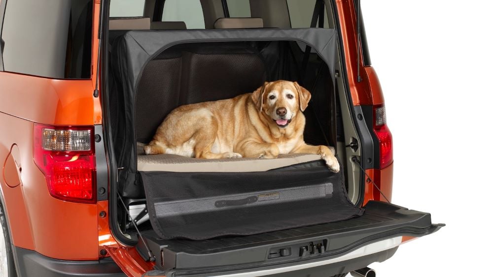 ТОП-4 самых нелепых функций авто, которые неизвестно зачем устанавливали - фото 3