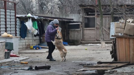 Росіяни обстріляли притулок для тварин у Запоріжжі — які наслідки - 290x160