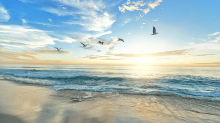 Південний океан може повернути все тепло — що буде з Планетою - 285x160