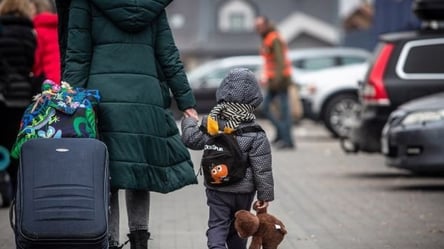 В’їзд дитини в Україну з іноземним свідоцтвом про народження: роз'яснення МВС - 285x160