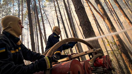 В Чорнобильській зоні продовжує палати ліс — що зараз із радіаційним фоном на Київщині - 285x160