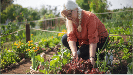 Как наличие дачи влияет на расходы пенсионера в Украине - 285x160