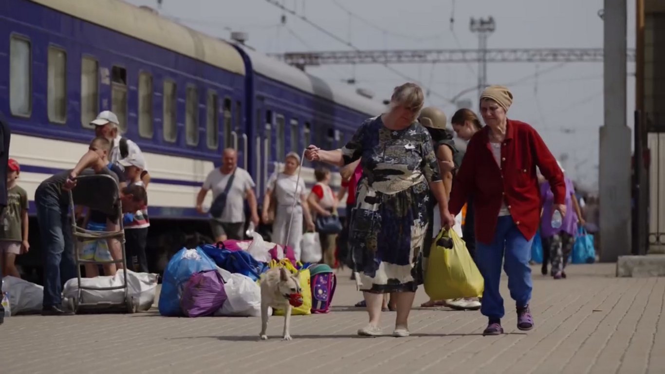 Несмотря на опасность, жители Покровска не бросили своих кошек и собак, а забрали их с собой.