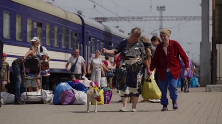 Евакуаційний потяг з Покровська став рекордним — люди залишали домівки, але не своїх тваринок - 285x160