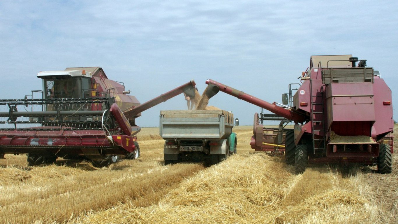 Рентабельність у 60% — яка найприбутковіша сільгоспкультура в Україні