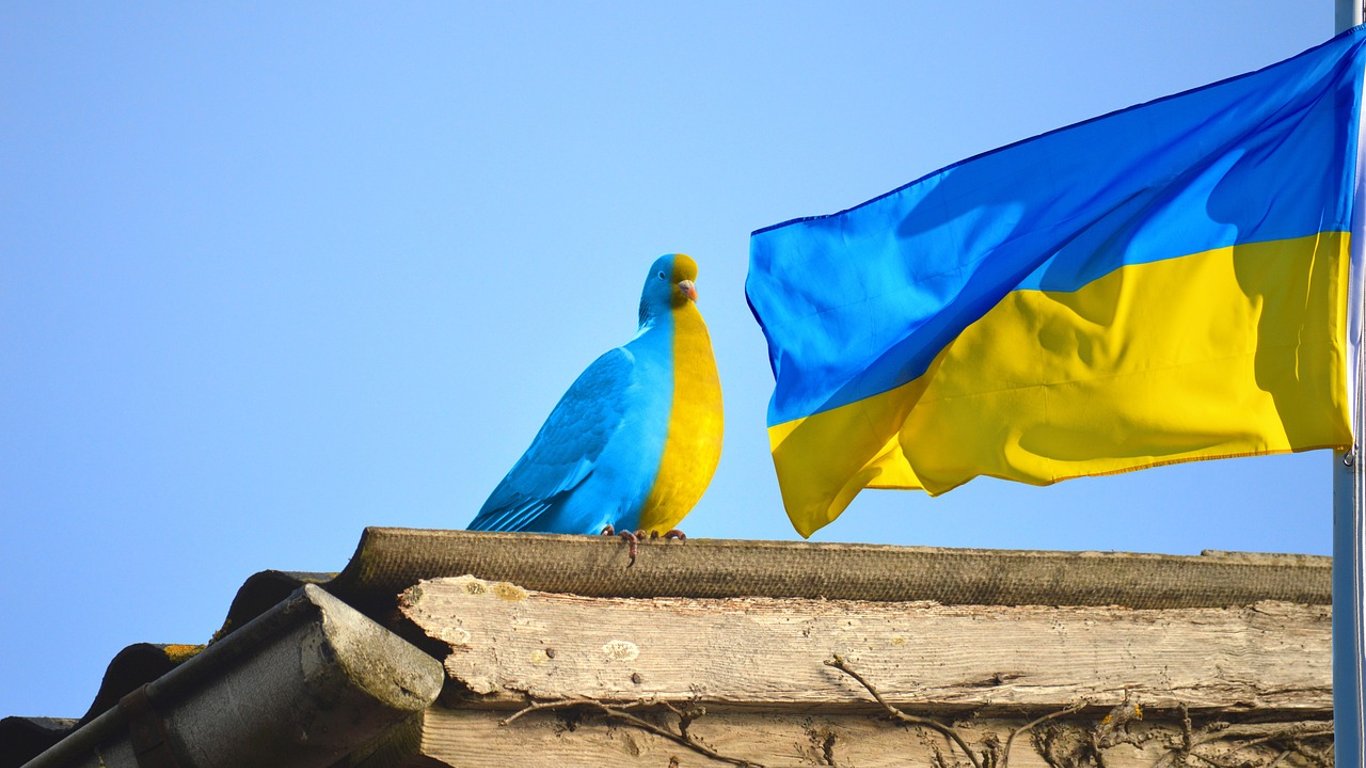 Стало известно, сколько граждан говорят на украинском в быту - на каком языке говорят украинцы дома