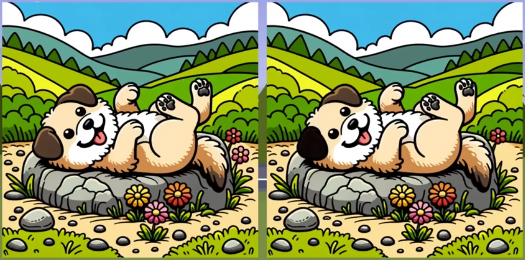 Хорошая собачка играет на лужайке — лишь 10% нашли три отличия - фото 1